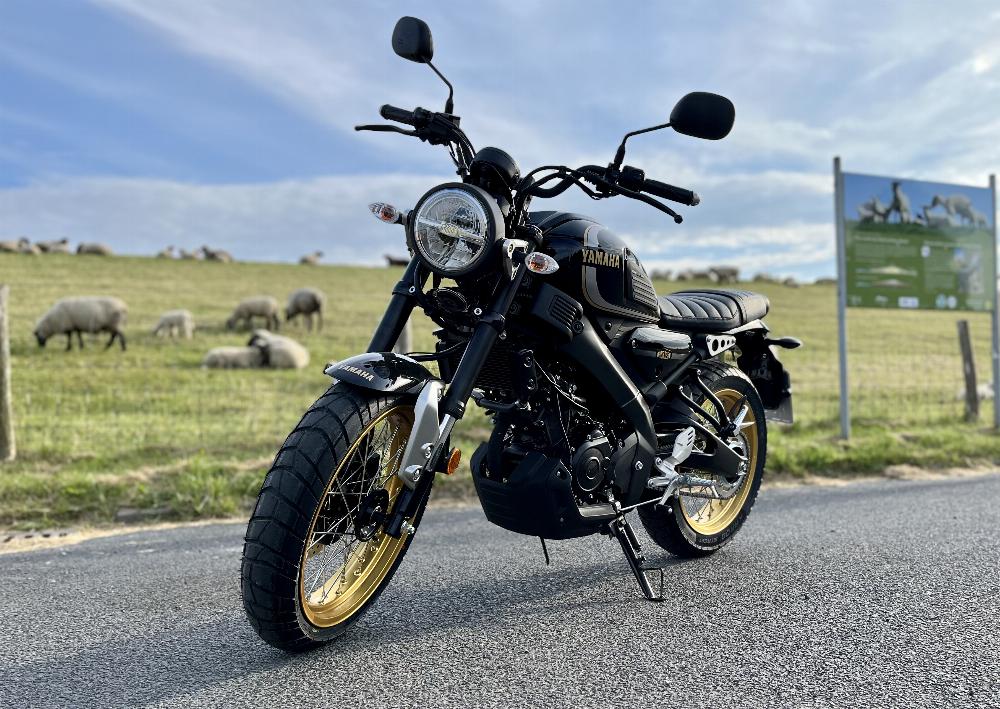 Motorrad verkaufen Yamaha XSR 125 Legacy Ankauf